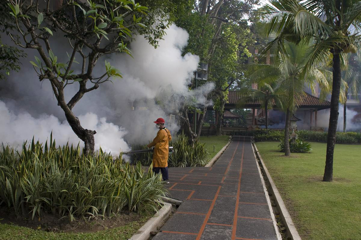 fogging-for-dengue-is-the-cure-killing-us-nmh