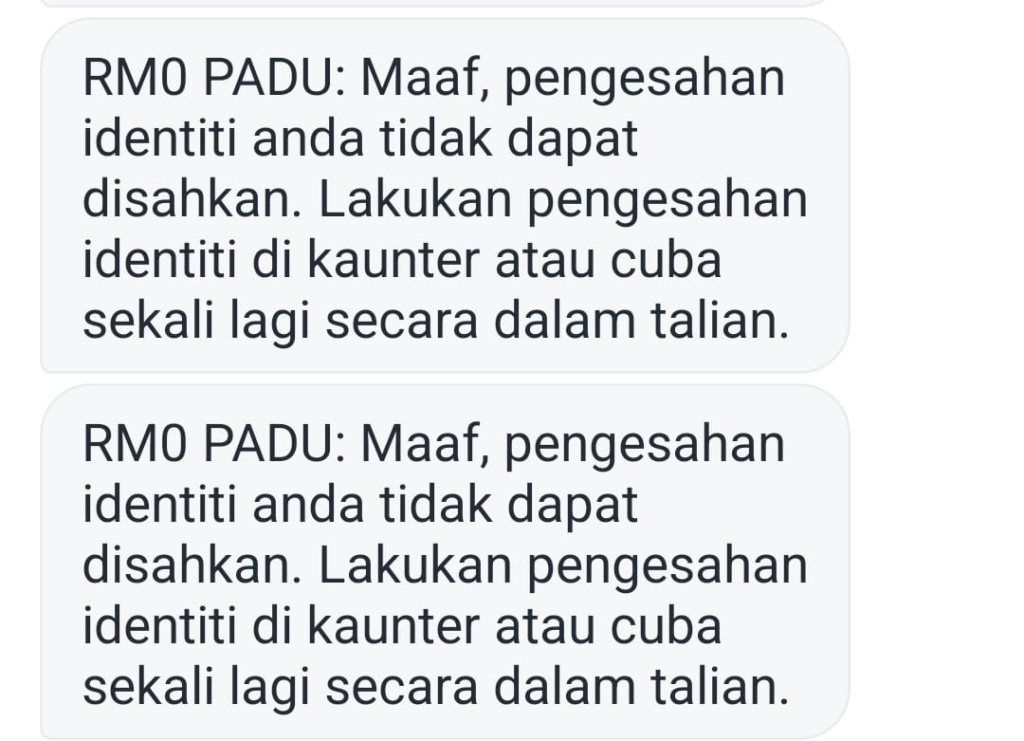 Much Ado About Padu, Yet the App Cannot Even Capture the Applicant Visual Identity, As Faced by Nmh Editor-in-chief, Datin Hasnah